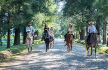 Agaves and Tequila Horseback Ride in El Arenal Jalisco