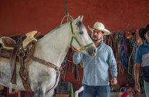 Agaves and Tequila Horseback Ride in El Arenal Jalisco