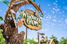 Dollywood Day Trip from Nashville