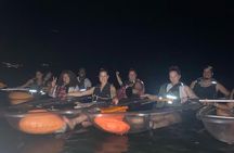 Biobay Vieques Tour Kayak Night Tour