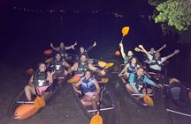 Biobay Vieques Tour Kayak Night Tour