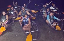 Biobay Vieques Tour Kayak Night Tour