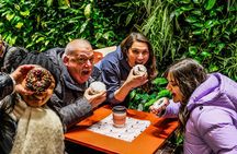 Delicious Donuts of Harvard Square: A Historical Walking Tour
