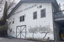 Vines and Views Sedona Elite Ride Experience