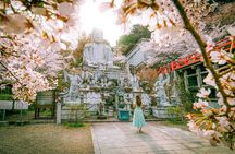 Nara Cherry Blossom Highlights Spring Special Day Tour from Osaka
