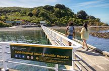 Guided Snorkeling and Island Exploration in Auckland