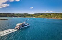 Guided Snorkeling and Island Exploration in Auckland