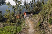 Rishikesh: Jungle Trek to Gujjar Village along the Valley River