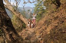 Rishikesh: Jungle Trek to Gujjar Village along the Valley River