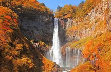 Tokyo Nikko Day Tour