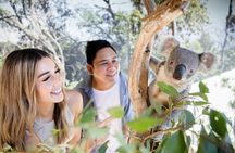 From Sydney: Blue Mountains with Zoo, Koala Photo & Scenic World