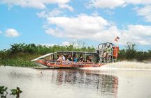 Everglades Airboat Adventure with Roundtrip Bayside Transfer