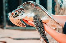 Sri Lanka Adventure and Wildlife Safari Multi Day Tour