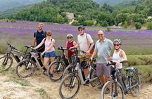 Full Day Ebike Tour in the Luberon Region from Avignon