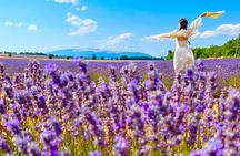 A day in the Lavenders and Villages of Provence