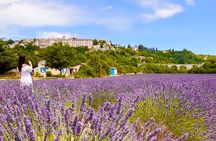 A day in the Lavenders and Villages of Provence