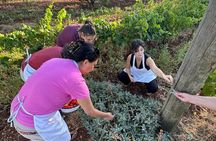 Ostuni : family cooking class in our country house