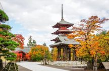 Private Aomori Shore Excursion Hirosaki Castle and Apple Hill