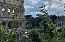 Guided tour of the Colosseum (private)