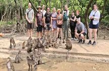 Can Gio Mangrove Biosphere Reserve Canoe & Wildlife Tour