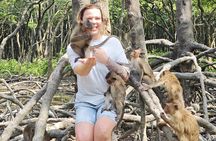 Can Gio Mangrove Biosphere Reserve Canoe & Wildlife Tour