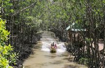 Can Gio Mangrove Biosphere Reserve Canoe & Wildlife Tour