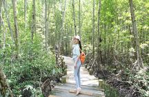 Can Gio Mangrove Biosphere Reserve Canoe & Wildlife Tour