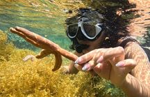 Nha Trang Half-Day Snorkeling Adventure with BBQ Onboard