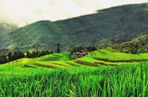 Sapa Half Day Trekking Y Linh Ho with Lao Chai and Ta Van