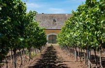 ETYEK wine trip - Just a stone’s throw away from Budapest