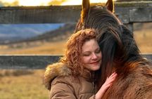 Half Day Horse Connection Experience near Puerto Natales