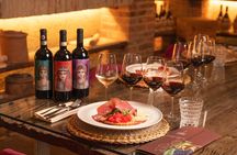 Wine Experience In Chianti Hills from Florence