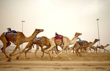 West Qatar Scenic Escape Into Nature and Heritage