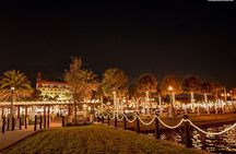 Nights of Lights Holiday Cruise Experience