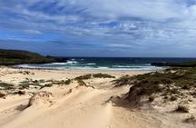 Super Saver: the best of Easter Island 