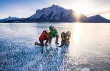 Abraham Lake Ice Bubble Tour - Local Guide! 