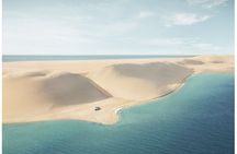 Doha Desert Adventure with Camel Ride and Dune Bashing