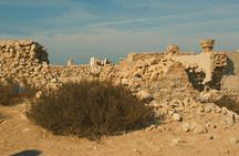 Full-Day North and West Qatar Highlights Tour with UNESCO Fort