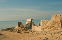 Full-Day North and West Qatar Highlights Tour with UNESCO Fort