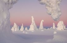 Riisitunturi Snow Monsters Winter Hike from Rovaniemi with Lunch