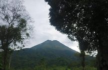 Reforestation Hike & Tree Planting XP