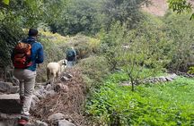 Atlas Mountains Berber Hike & Traditional Lunch from Marrakech