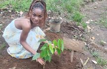 Reforestation Hike & Tree Planting XP