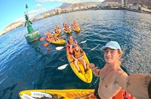 Kayaking and Snorkeling Adventure in Tenerife - Small Groups