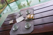 Medicinal plant class Tour & Tea Making Class