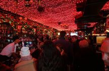 Irish Pubs, Music and Culture Tour with an Irish Musician