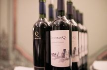 Blogging in Maipu with Zuccardi Q Tasting and Lunch Pairing