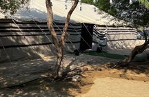 Desert Camping in Alhasa Dammam