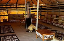 Desert Camping in Alhasa Dammam