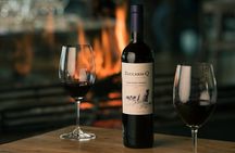 Blogging in Maipu with Zuccardi Q Tasting and Lunch Pairing